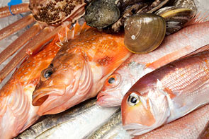 地元日本海で獲れた新鮮な魚介
